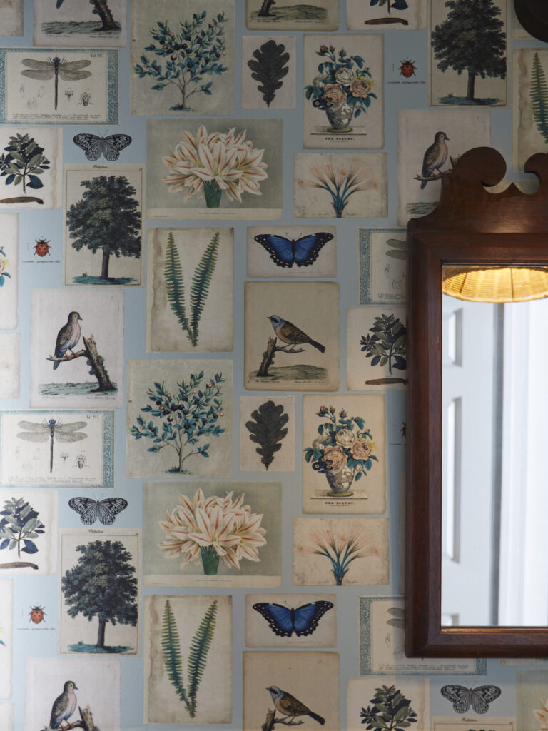 Wall in the Andiamo Lodge decorated with vintage botanical drawings.