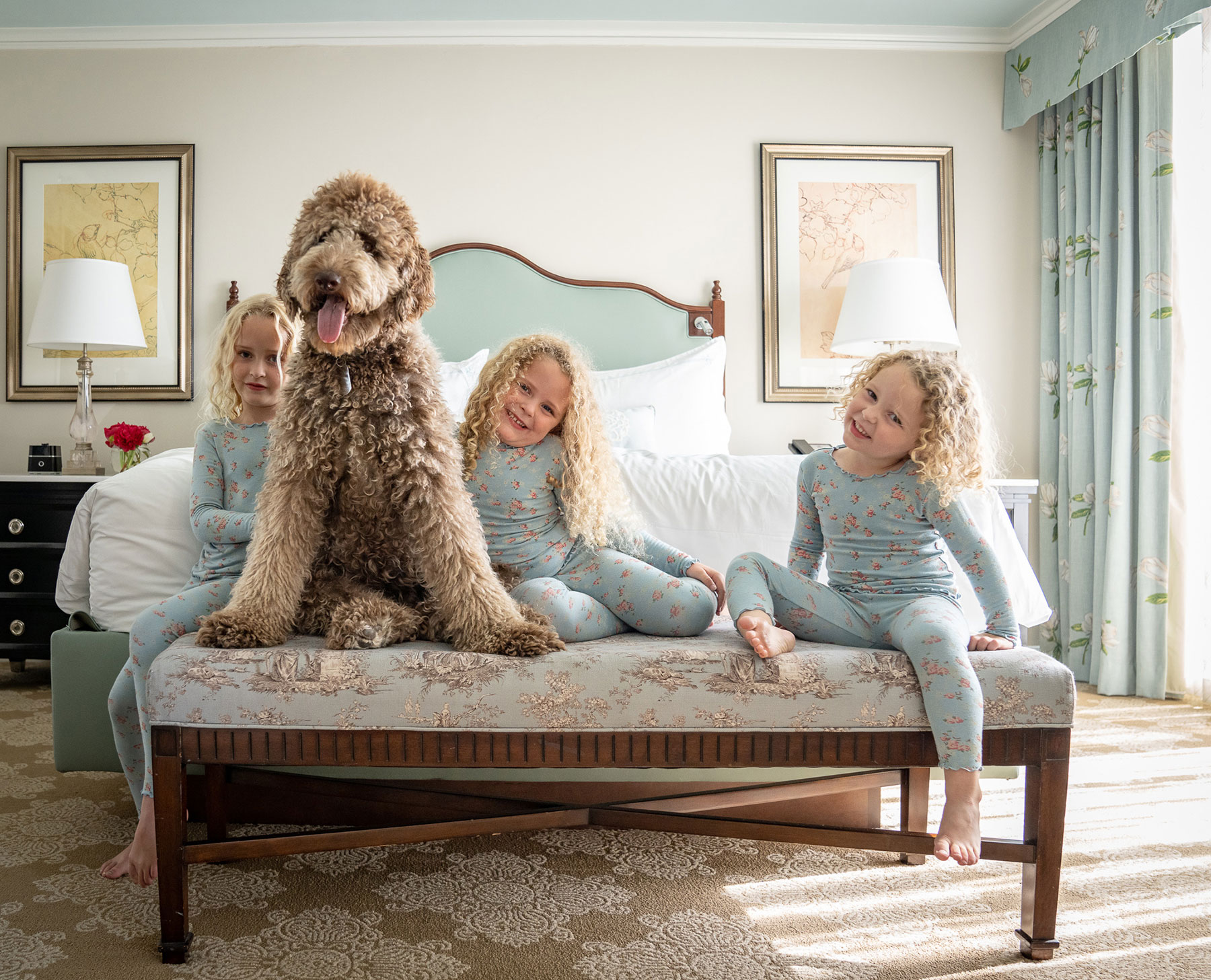 Children and dog in bedroom at the pet friends Windsor Court hotel. 